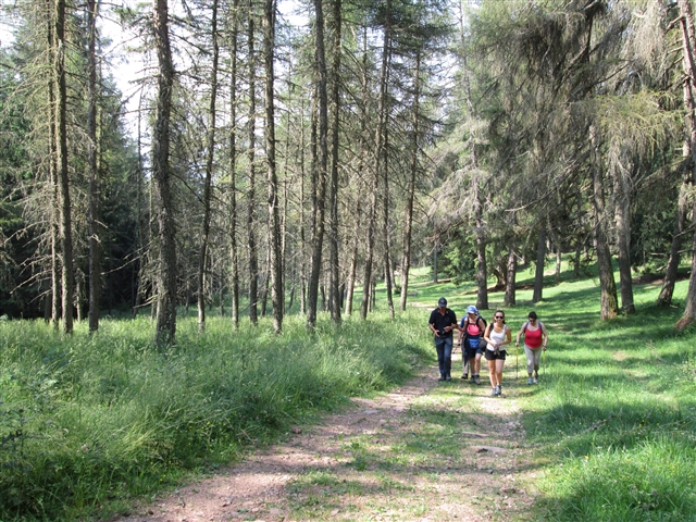 Il gruppetto cammina sul sentiero nel bosco.